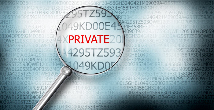 Private Data Extraction